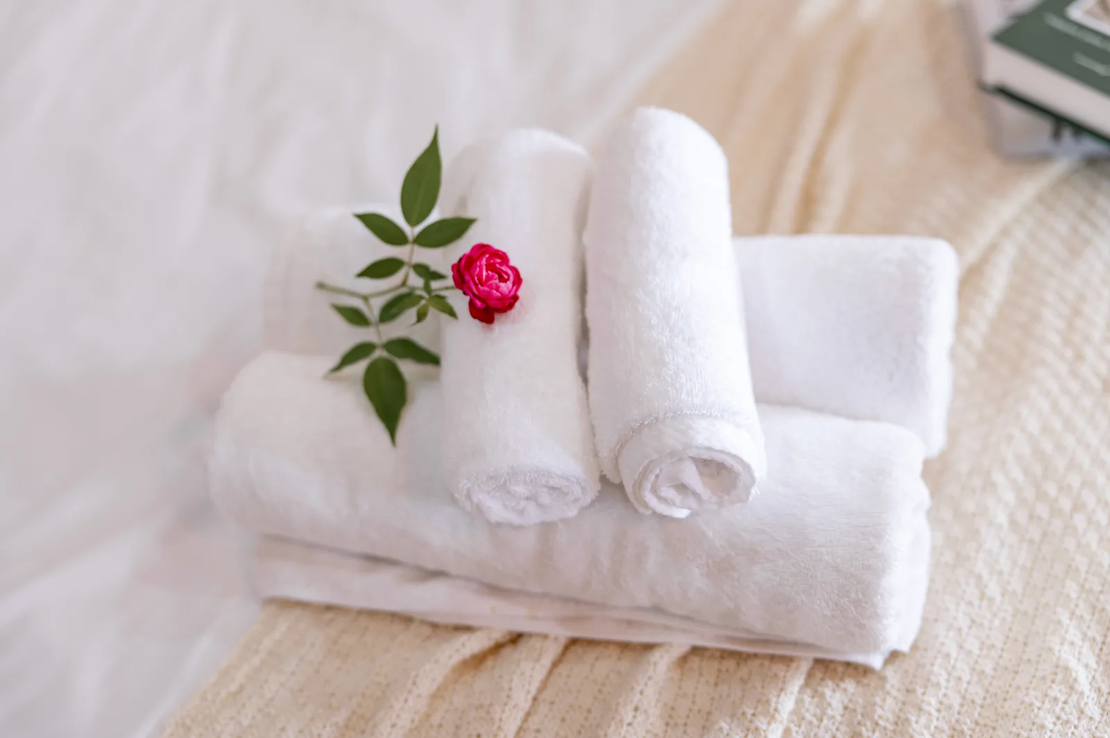 Ảnh nghỉ dưỡng 135