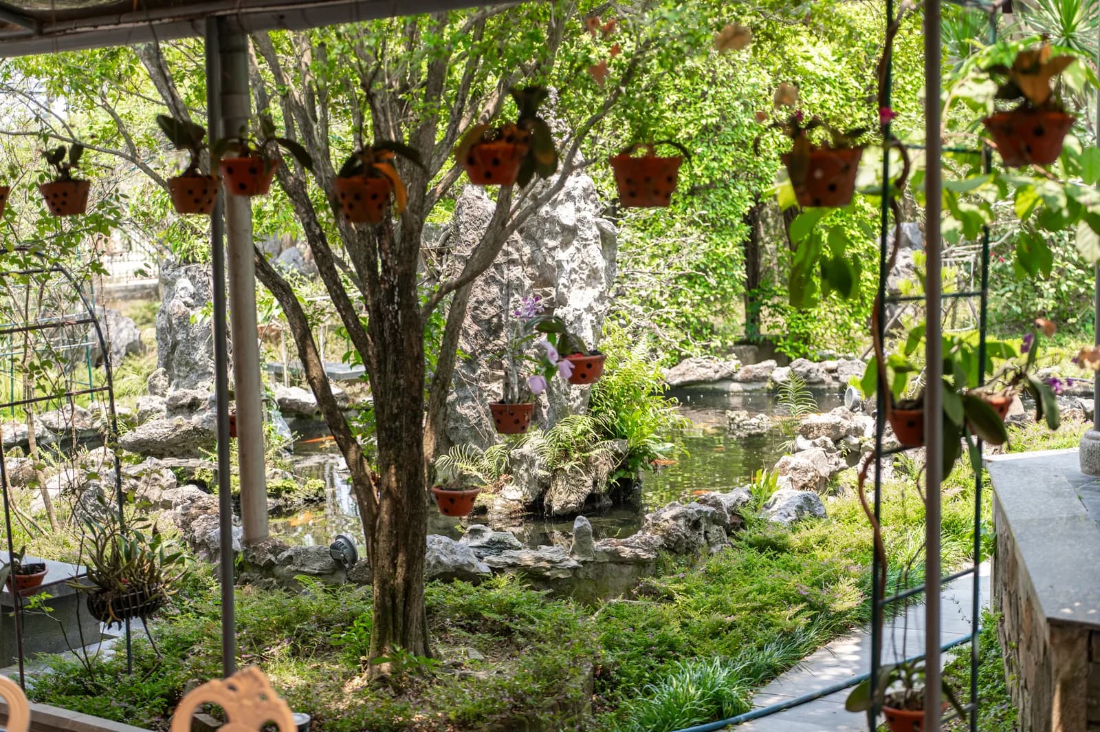 Ảnh nghỉ dưỡng 4