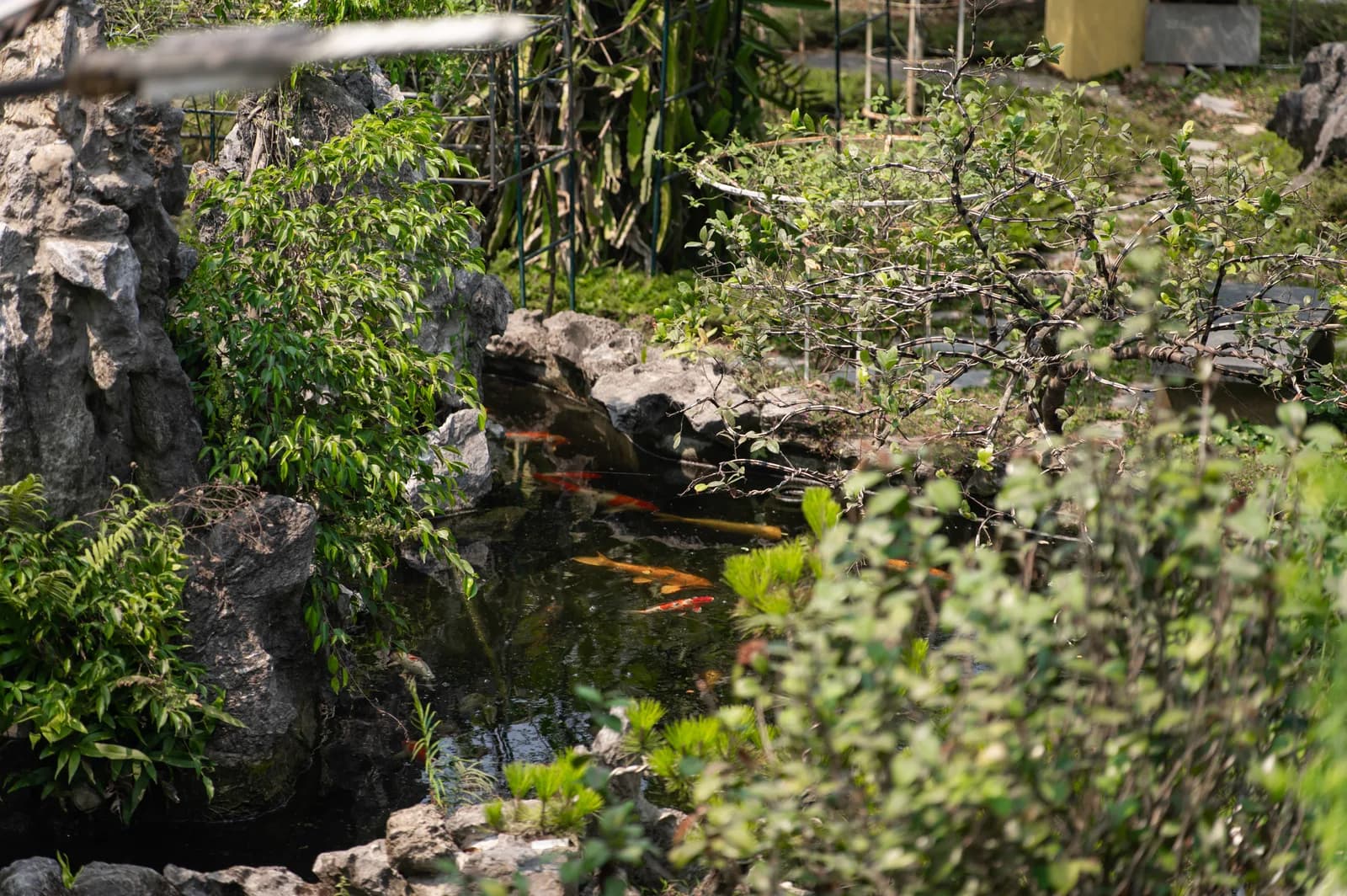 Ảnh nghỉ dưỡng 12