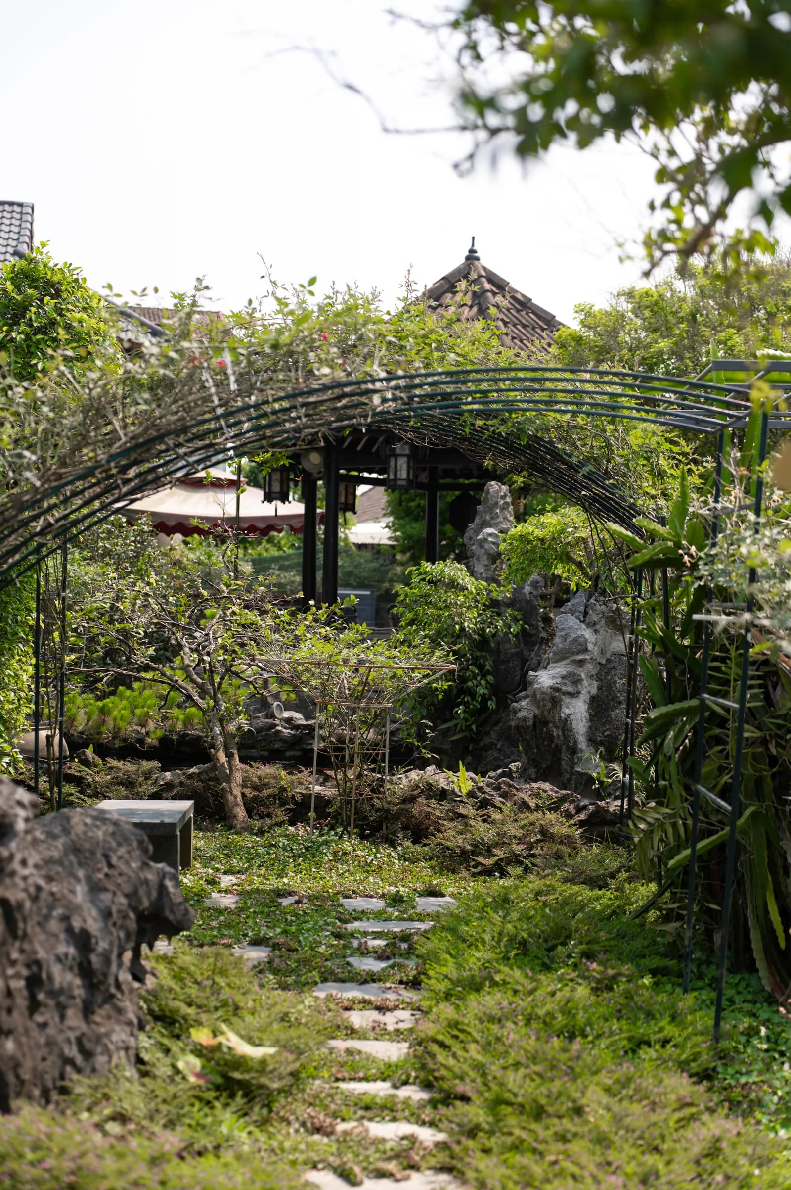 Ảnh nghỉ dưỡng 19
