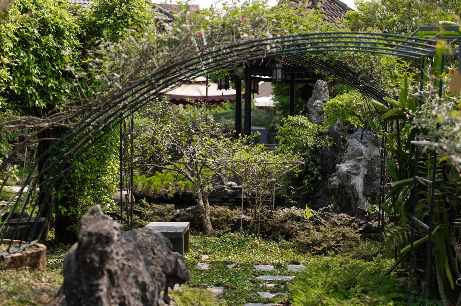 Ảnh nghỉ dưỡng 20