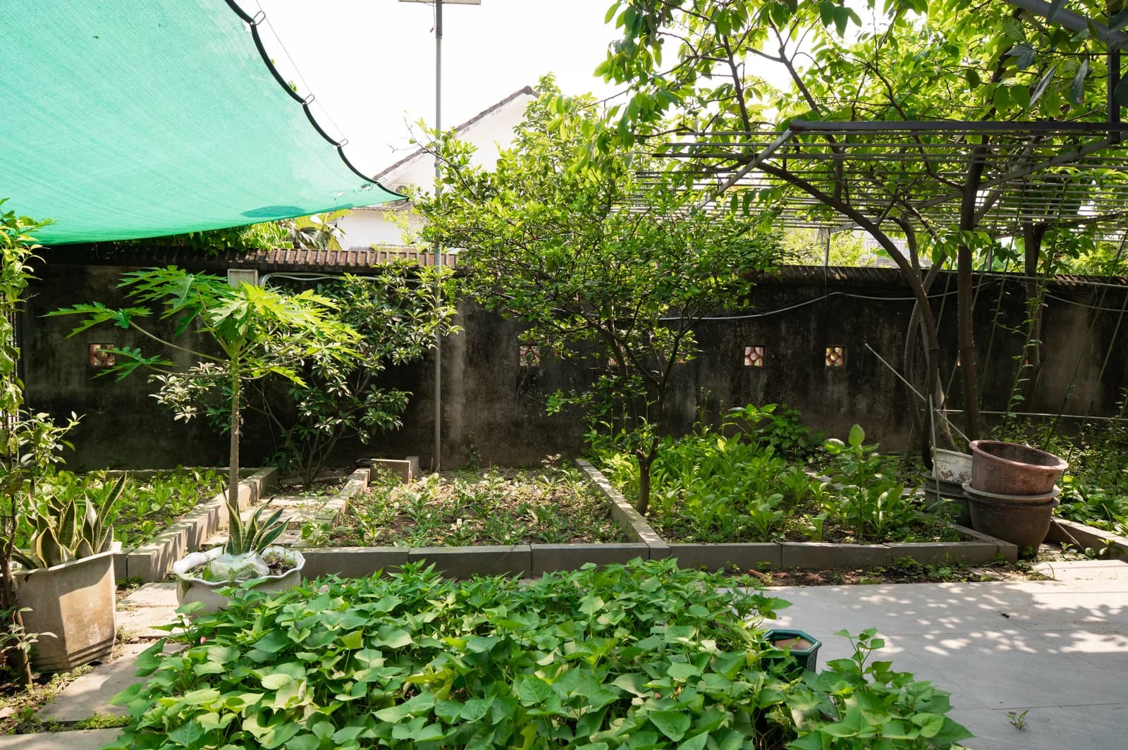 Ảnh nghỉ dưỡng 25