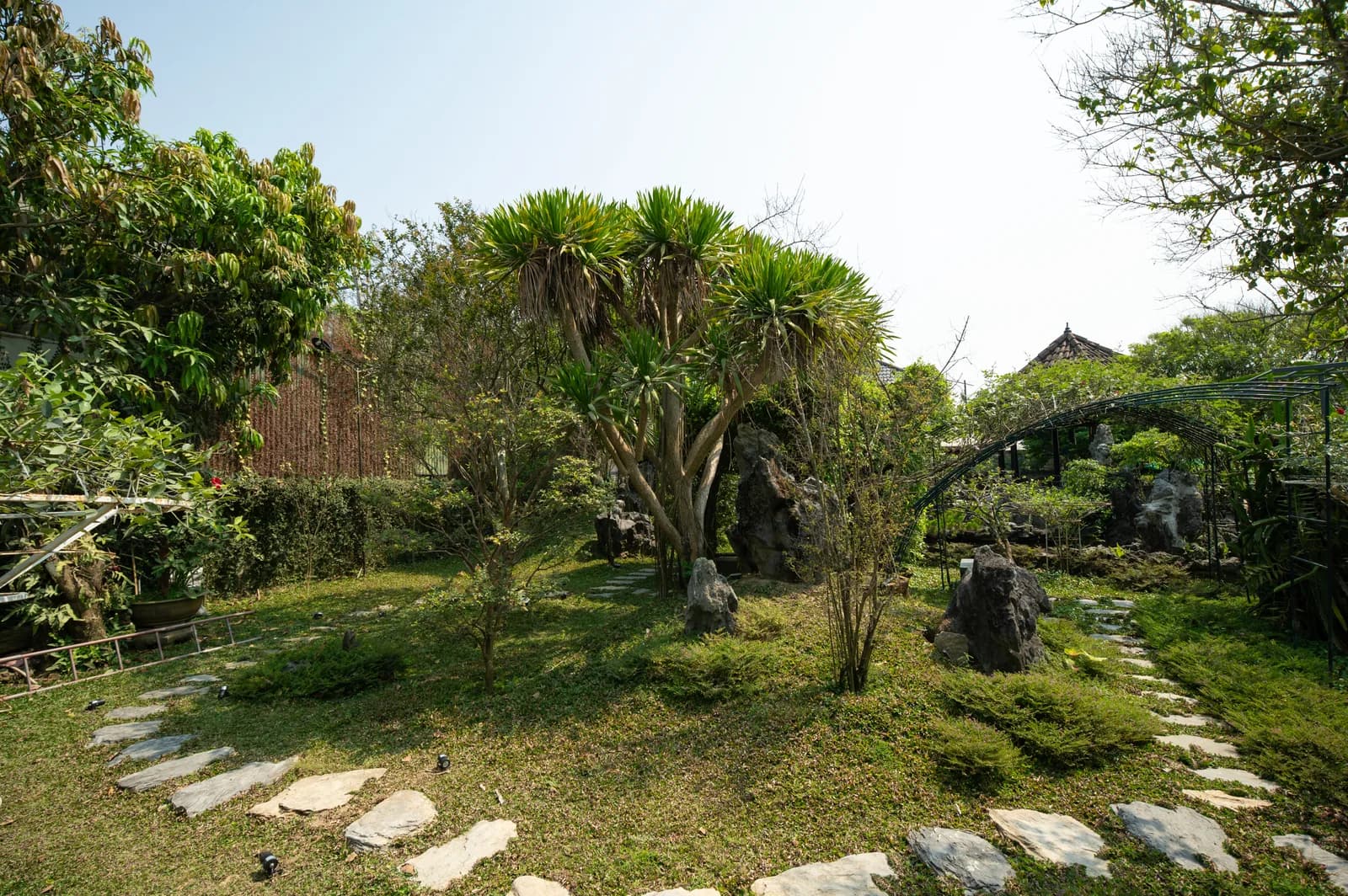 Ảnh nghỉ dưỡng 30