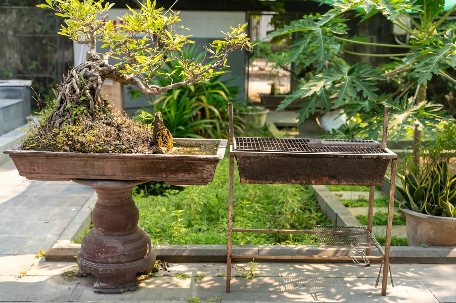 Ảnh nghỉ dưỡng 48